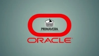Complete Primavera P6 Diploma ( Basic &Advanced Level)